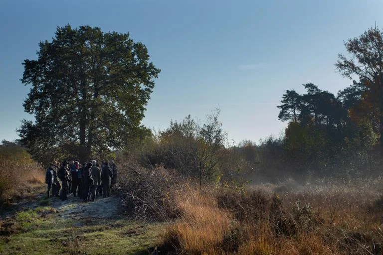 Wandeling in het Wik