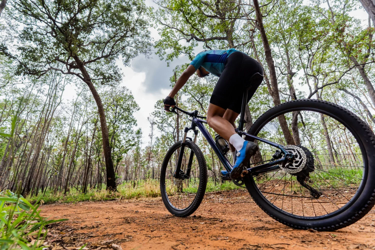 Houtland VTT & CYCLO