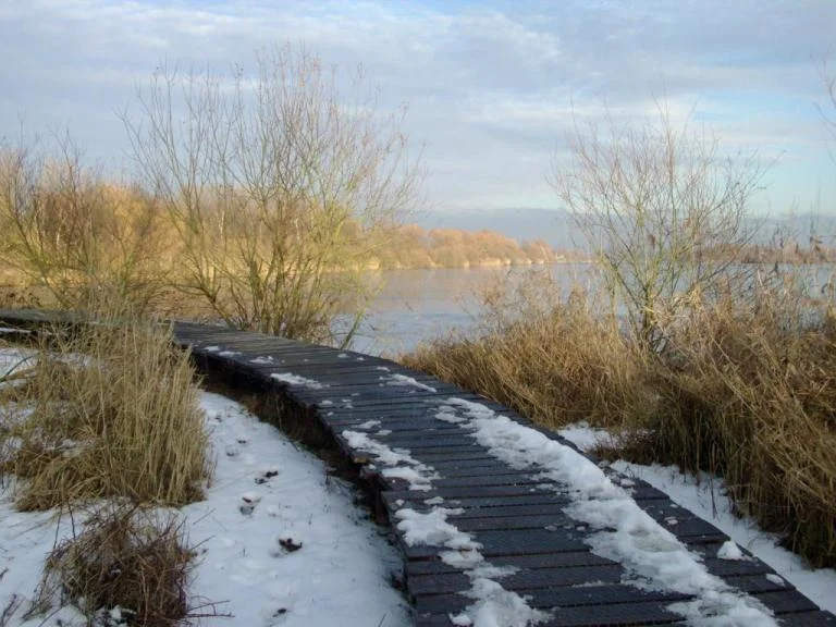 Winterse wandeling rond het Schulensmeer