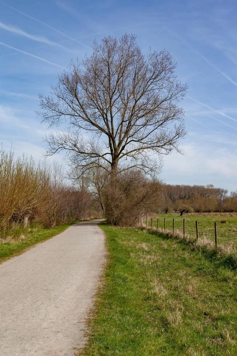 Landschapswandeling