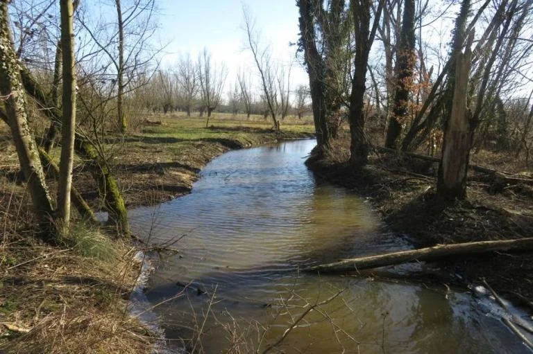 Winterwandeling in de Latemse Meersen