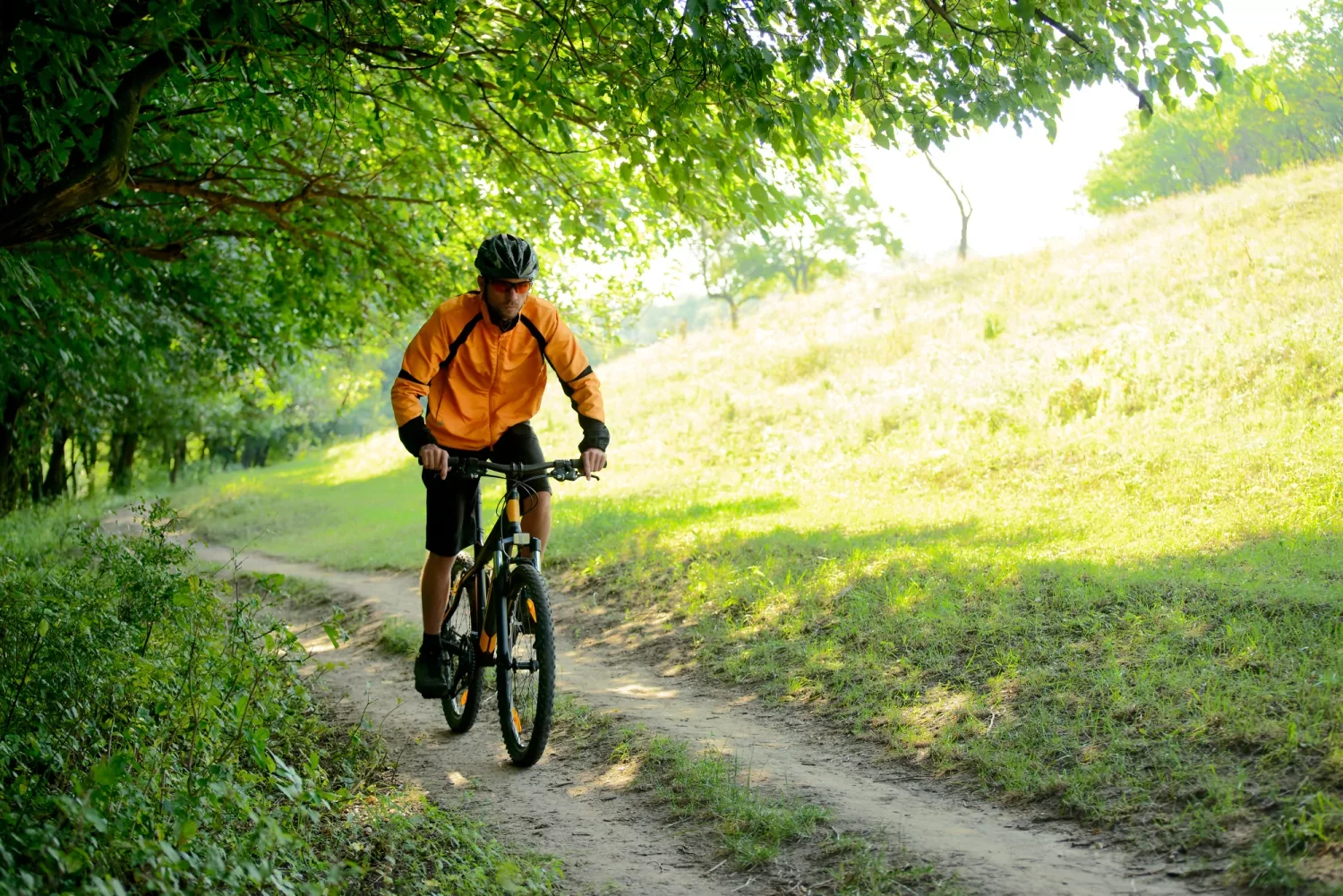 Molse Merentocht VWB