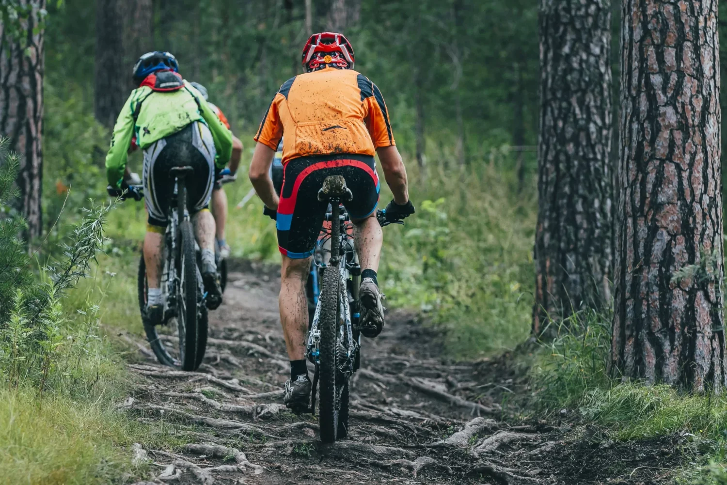 Noordelijke mtb grenstoertocht VWB