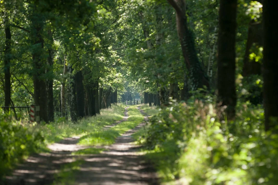 Historische wandeling Balsvoort en Banisveld op de Kampina