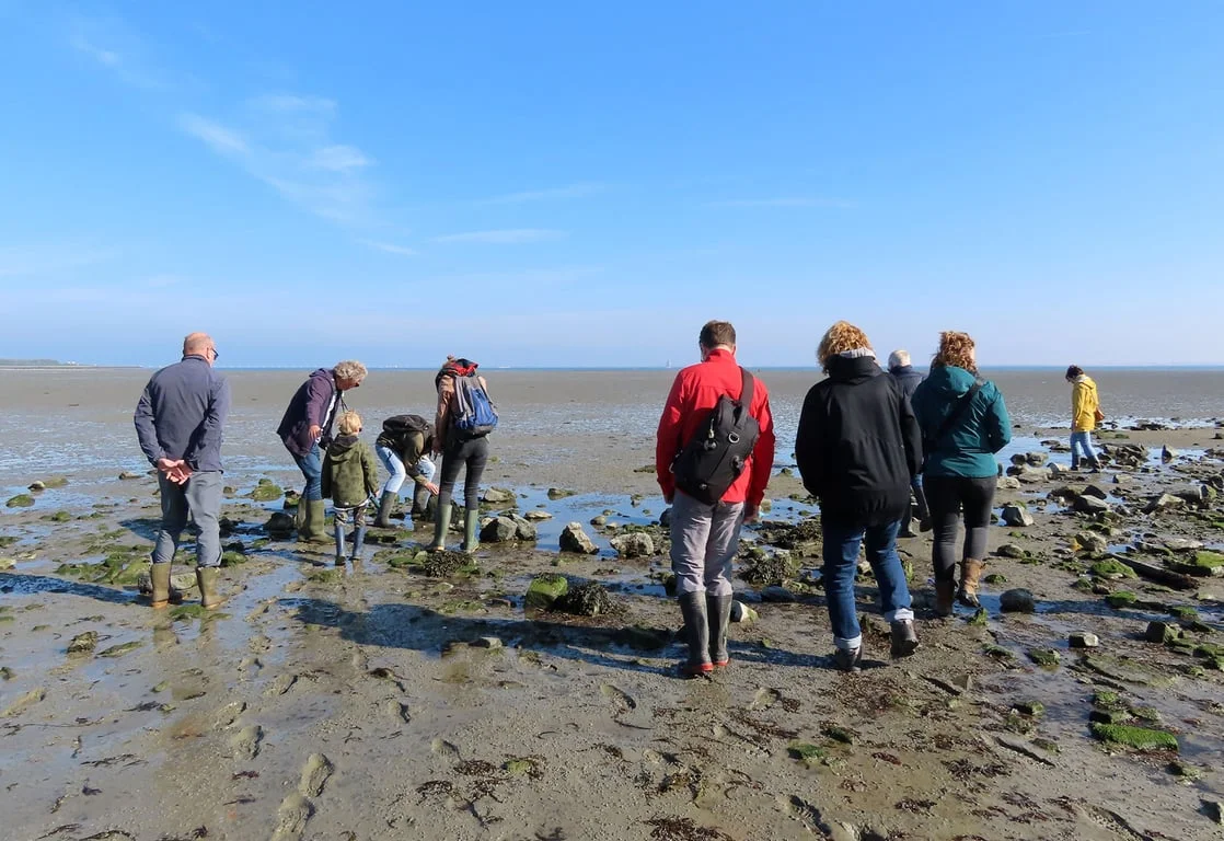 Slikkentocht Kattendijkse Plaat - Oosterschelde