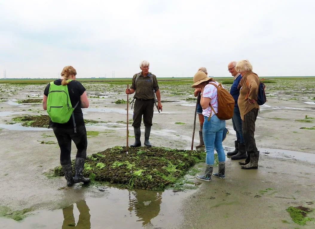 Avontuurlijke natuurtocht door het Verdronken Land van Zuid-Beveland