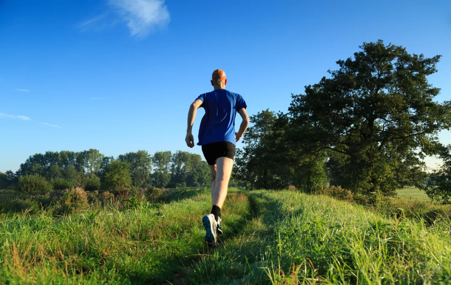 RUNFORESTRUN Drents Friese Wold