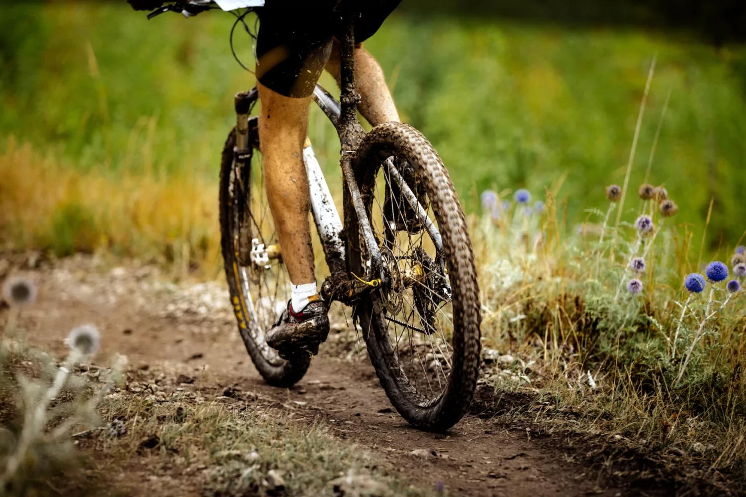 Sinterklaas toertocht MTB VWB