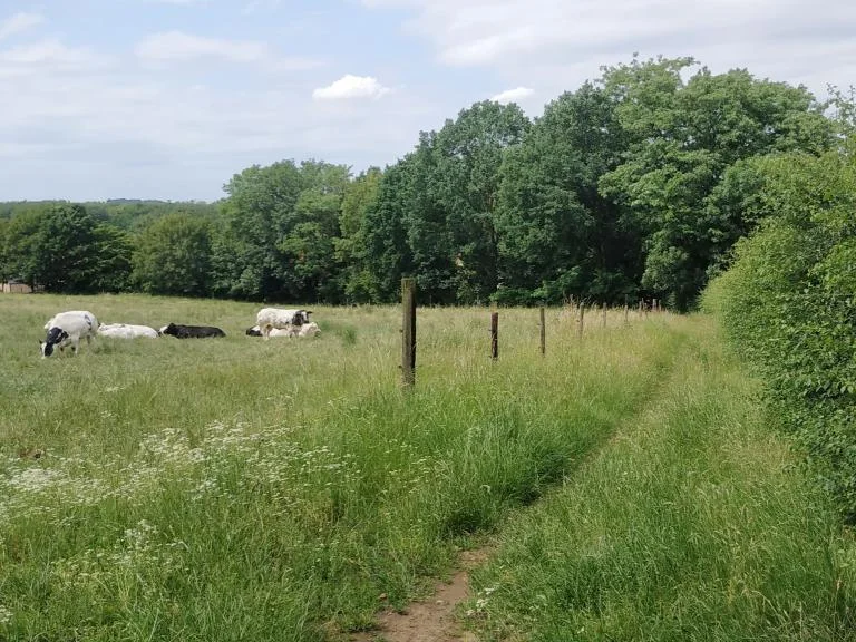 Trage Wegen Wandelingen