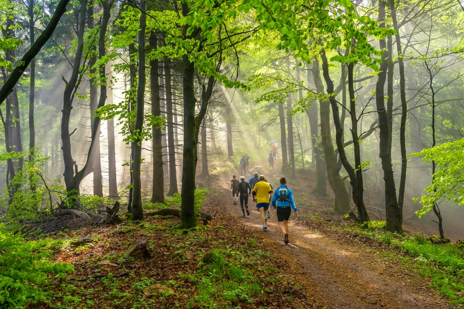 Trail du BW