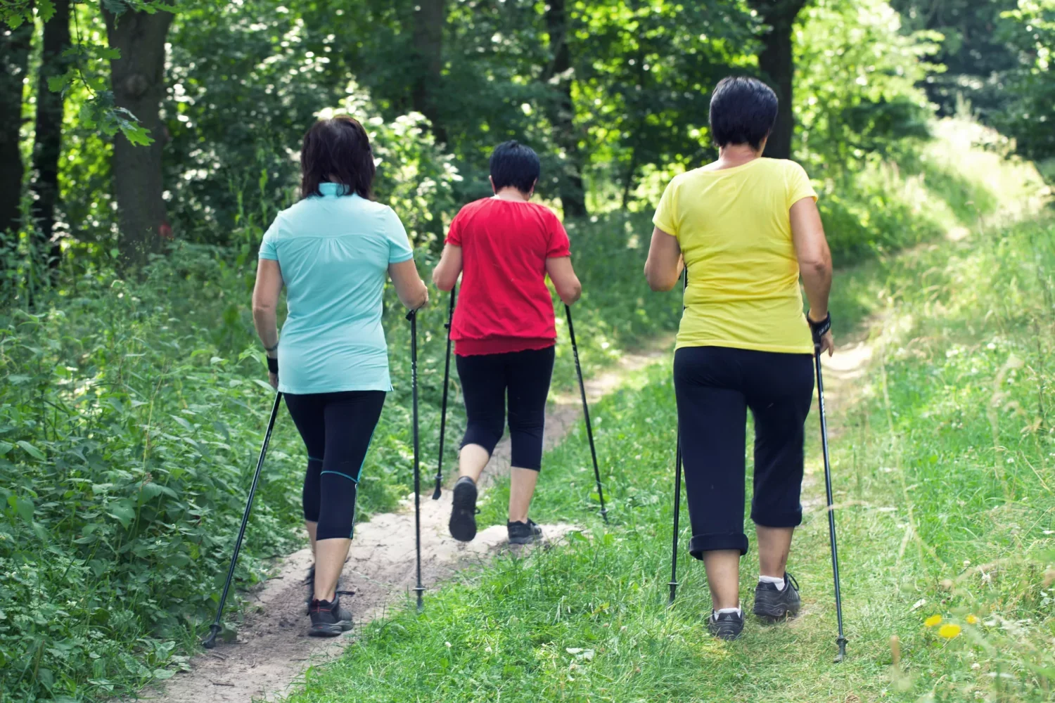 Turnhoutse Kaartenwandeling