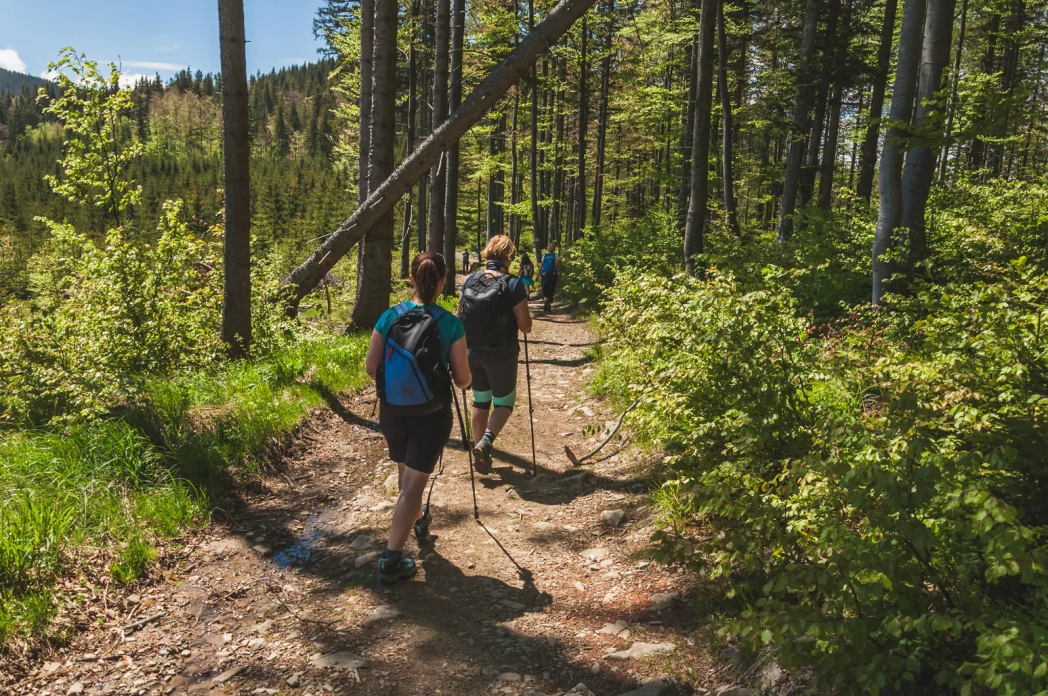 Uilentocht - Walk 2 Gether-tocht