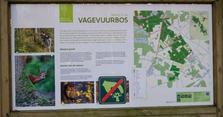 Herfstwandeling in de Vagevuurbossen te Wingene
