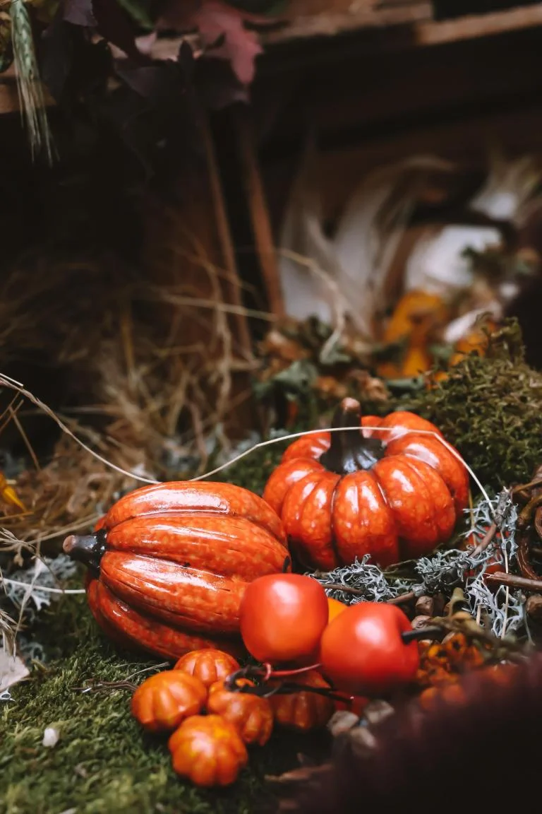 Herfstwandeling in het Vossenhol