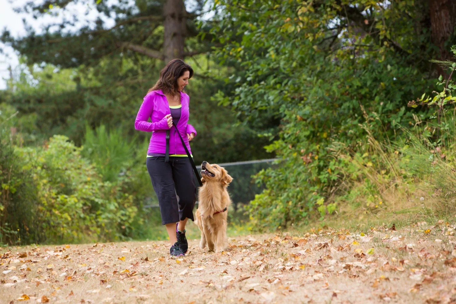 Warmste Wandeling
