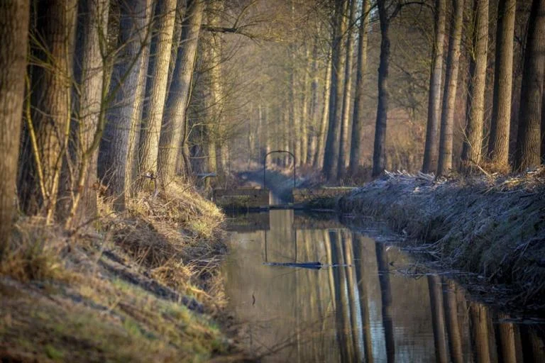 Geleide winterwandeling in de Vloeiweiden