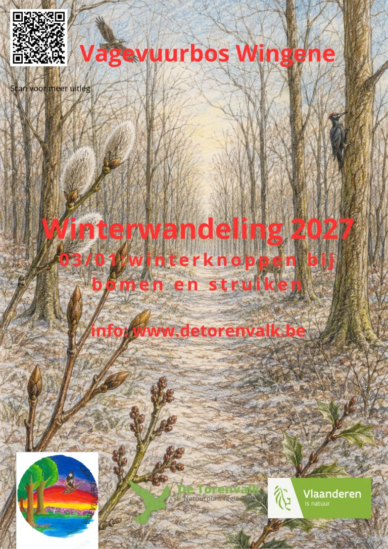 Winterwandeling: Sporen speuren en knoppen zoeken