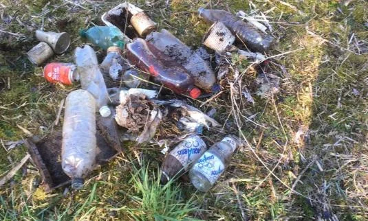 Opruimen zwerfvuil en sluikstorten in de Wellemeersen